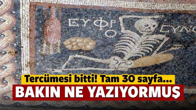 Hatay'da bulunan mozaiğin tercümesi bitti