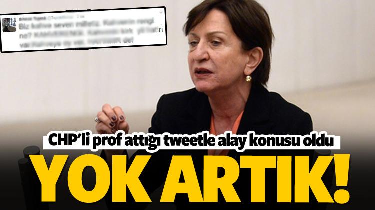 CHP'li Binnaz Toprak alay konusu oldu