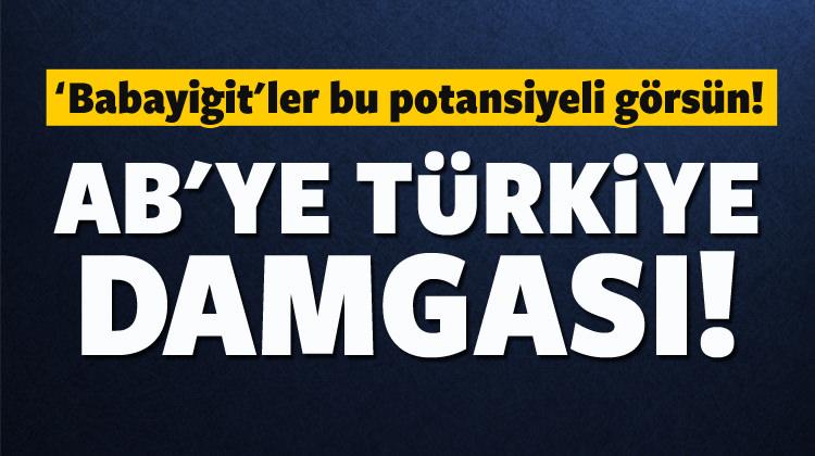AB en fazla aracı Türkiye'den alıyor