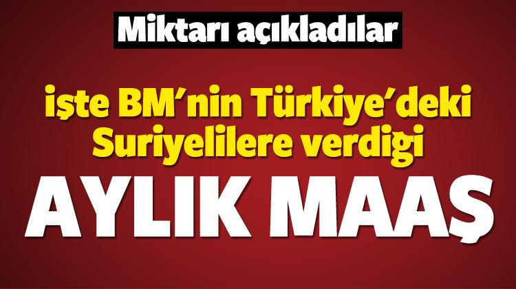 Kizilay Aciklayinca Suriyeliler Bankaya Akin Etti