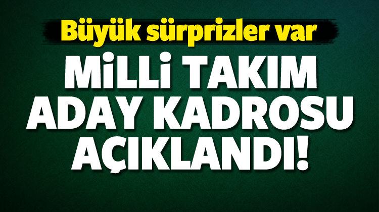Milli Takım aday kadrosu açıklandı!