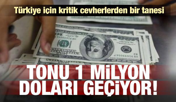Bakan açıkladı! Tonu 1 milyon doları geçiyor