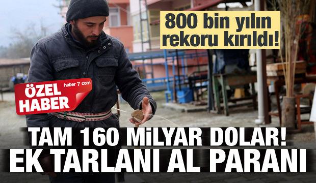 Tam 160 Milyar Dolar Ek Tarlani Al Parani Ekonomi Haberleri