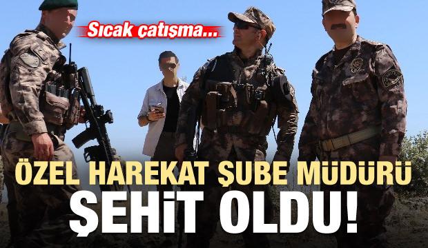 Sıcak çatışma! Özel Harekat Şube Müdürü şehit oldu