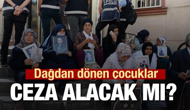 Dağdan dönen çocuk ceza alacak mı? Hukukçular noktayı koydu