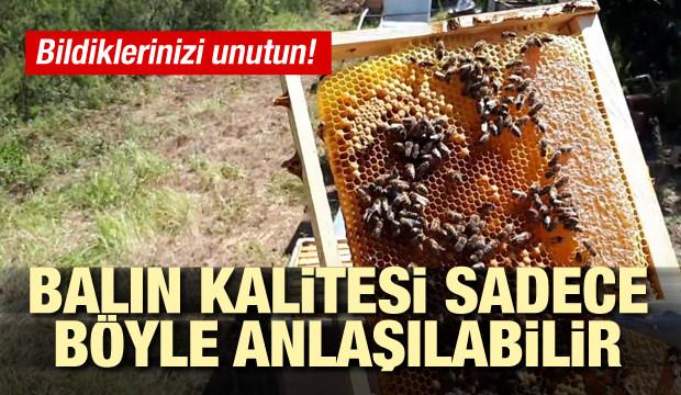 Bildiklerinizi unutun! Balın kalitesi sadece böyle anlaşılabilir