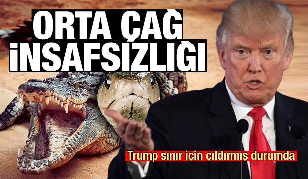 Trump'tan sınır güvenliği için akılalmaz teklif iddiası