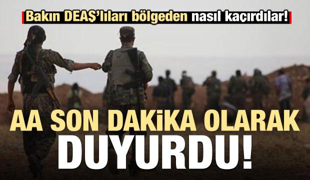 AA son dakika duyurdu! Harekat bölgesinde kalleş oyun