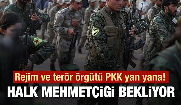 Rejim ve PKK yan yana! Halk Mehmetçiği bekliyor
