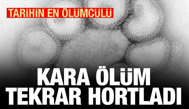 Tarihin en ölümcülü tekrar hortladı! Kara ölüm geri döndü