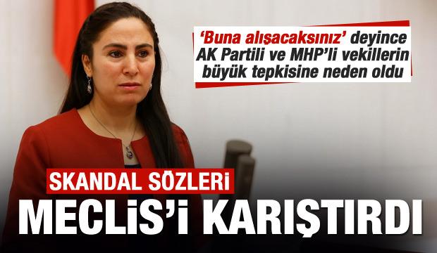 HDP'li vekil TBMM Genel Kurulunda haddini aştı