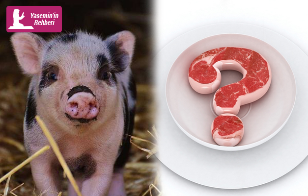 Domuz eti haram mı, domuz eti neden haramdır? Domuz eti markalarına