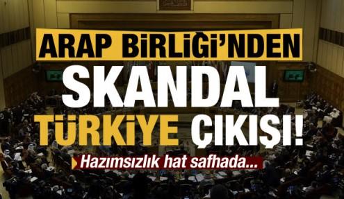Arap Birliği'nden skandal Türkiye açıklaması!