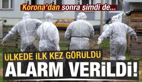 Ülkede ilk kez görüldü, İtlaf çalışmaları başladı! Korona'dan sonra şimdi de...