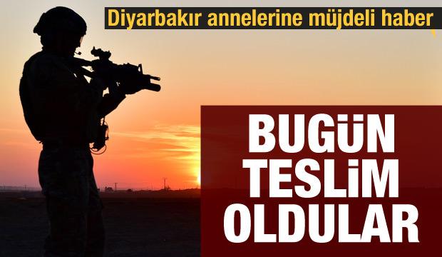 PKK'da çözülme sürüyor: 5 terörist daha teslim oldu