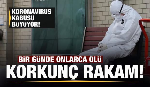 Koronavirüs kabusu büyüyor! Korkunç rakam!