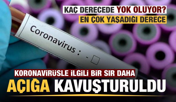 Koronavirüsün en çok yaşadığı sıcaklık derecesi belli oldu
