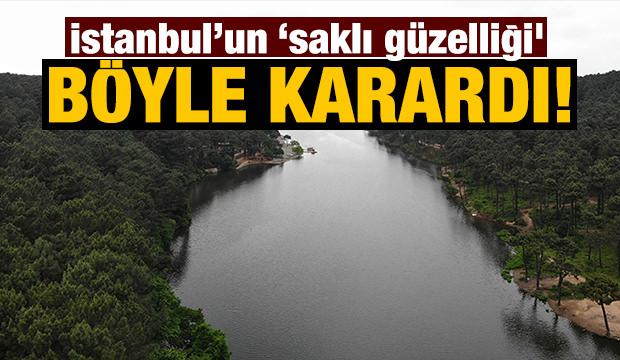 Aydos Ormanı'nın ‘saklı güzelliği' ihmaller yüzünden karardı!
