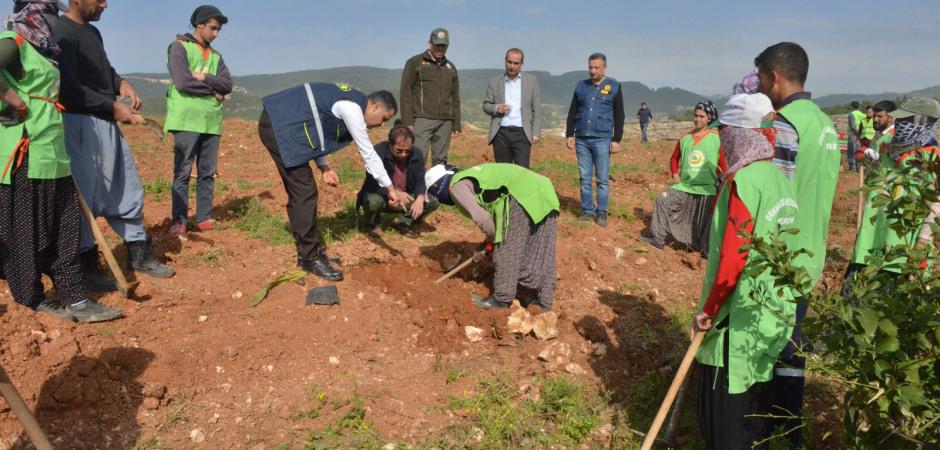 Mersin De Isgal Edilmek Istenen Ormanlik Alan Idlib Sehitleri Hatira Ormani Oldu Ekonomi Haberleri