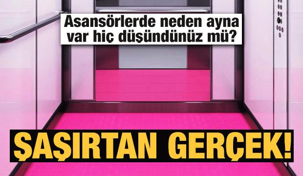 Öğrendiğinizde şaşıracağınız birbirinden ilginç şaşırtıcı gerçekler