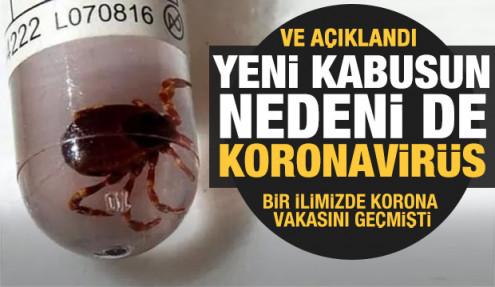Kırım Kongo Kanamalı Ateşi vakalarının sebebi koronavirüs!