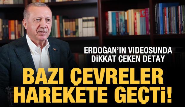 ABD'de ortaya çıkartıldı! Koronavirüste kedi tehlikesi ...