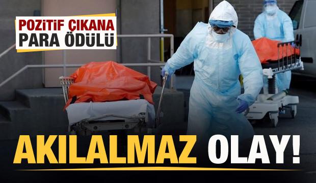 Akılalmaz korona partisi! Pozitif çıkana para ödülü