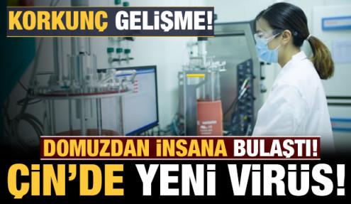 Çin'de korkutan yeni virüs: Dünyaya yayılma ihtimali var!