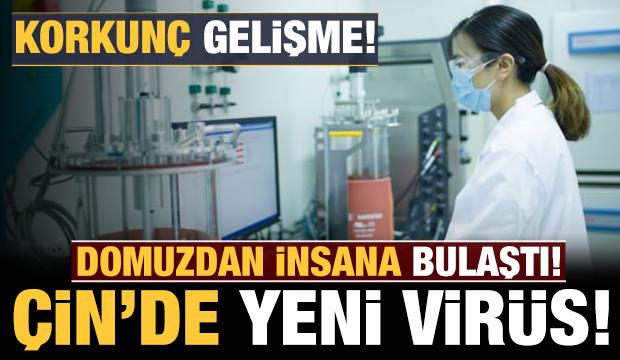 Çin'de korkutan yeni virüs: Dünyaya yayılma ihtimali var!