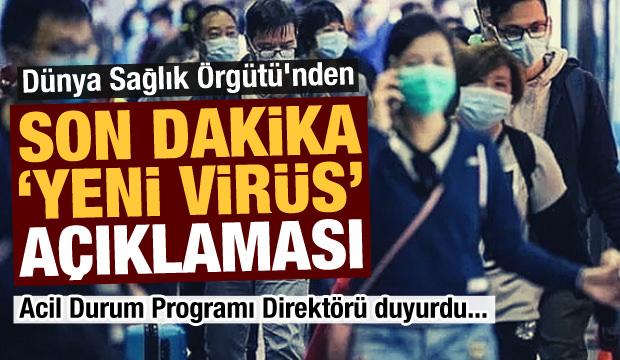 DSÖ'den domuz gribi açıklaması!