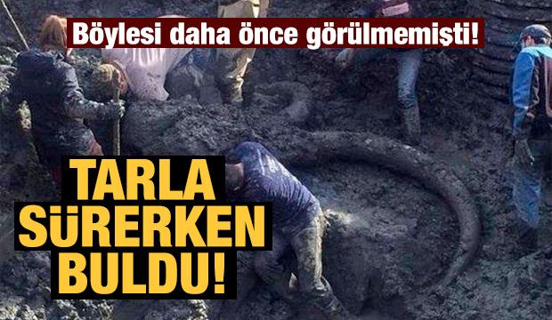 Çiftçinin sıra dışı keşfi! Öyle bir şey buldu ki...