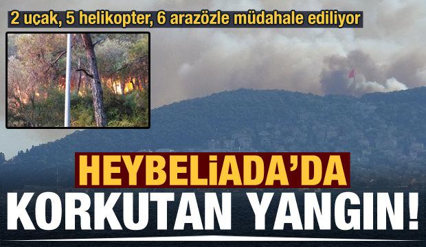 Heybeliada'da korkutan yangın! Soruşturma başlatıldı