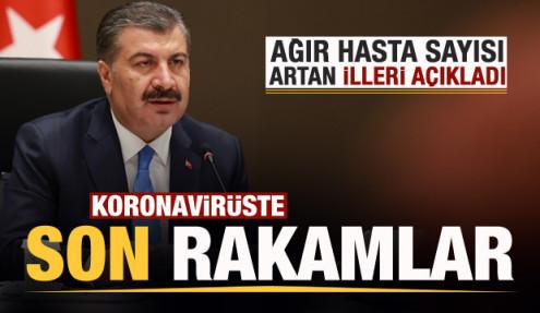 Son dakika haberi: 31 Temmuz koronavirüs tablosu! Vaka, ölü sayısı ve son durum açıklandı