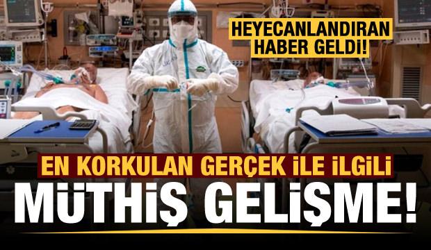 Heyecanlandıran haber! Koronavirüsün mutasyona uğrama hızı oldukça düştü