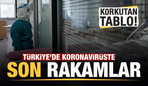 Son dakika haberi: 15 Eylül koronavirüs tablosu! Vaka, ölü sayısı ve son durum açıklandı