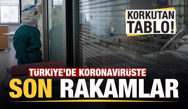 Son dakika haberi: 15 Eylül koronavirüs tablosu! Vaka, ölü sayısı ve son durum açıklandı