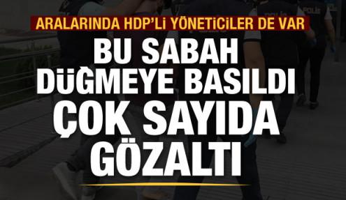 Kars merkezli PKK operasyonu: Aralarında HDP'li yöneticilerinde olduğu 19 kişi gözaltında