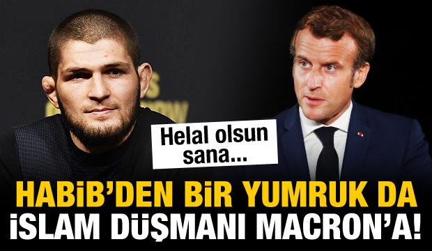 Habib'den bir yumruk da İslam düşmanı Macron'a