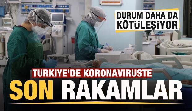 Son dakika haberi: 21 Kasım koronavirüs tablosu! Hasta, ölü sayısı ve son durum açıklandı