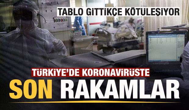 Son dakika haberi: 22 Kasım koronavirüs tablosu! Hasta, ölü sayısı ve son durum açıklandı