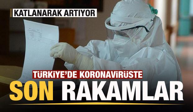 Son dakika haberi: 24 Kasım koronavirüs tablosu! Hasta, ölü sayısı ve son durum açıklandı
