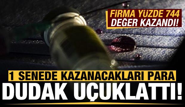 1 senede kazanacakları para dudak uçuklattı! Firma yüzde 744 değer kazandı...