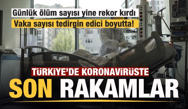 Son dakika haberi: 1 Aralık koronavirüs tablosu! Vaka, Hasta, ölü sayısı ve son durum açıklandı