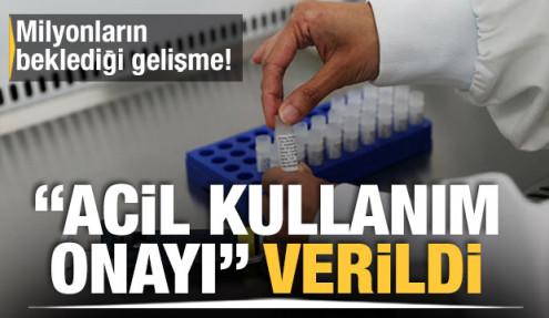 Son Dakika: CoronaVac aşısı için 'Acil Kullanım Onayı' verildi