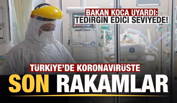 Son dakika: 26 Ocak koronavirüs tablosu! Vaka, Hasta, ölü sayısı ve son durum açıklandı