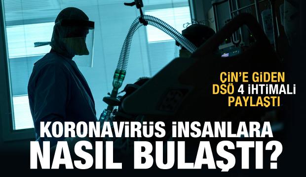 Koronavirüs insanlara nasıl bulaştı? DSÖ 4 ihtimali paylaştı