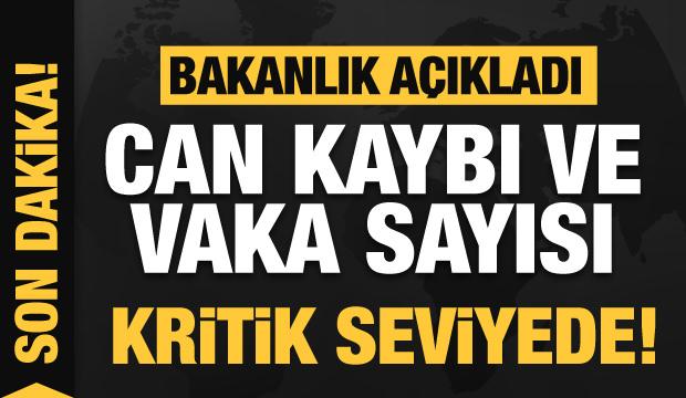 Son dakika: 16 Şubat koronavirüs tablosu! Vaka, Hasta, ölü sayısı ve son durum açıklandı