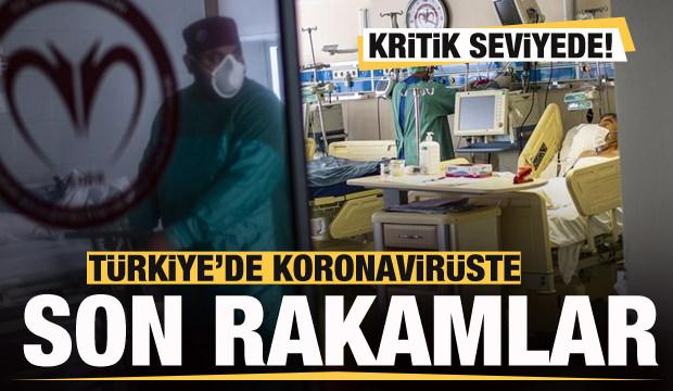 son dakika 16 subat koronavirus