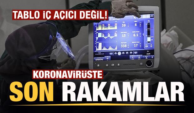 Son dakika: 4 Mart koronavirüs tablosu! Vaka, Hasta, ölü sayısı ve son durum açıklandı