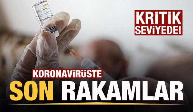 Son dakika: 5 Mart koronavirüs tablosu! Vaka, Hasta, ölü sayısı ve son durum açıklandı